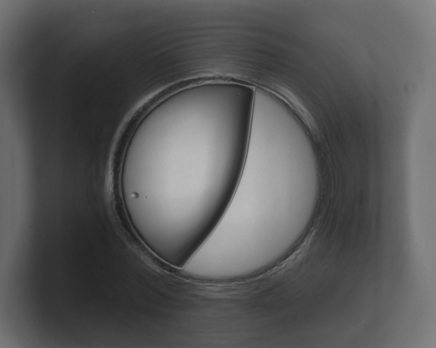 X0000101950780200807180702