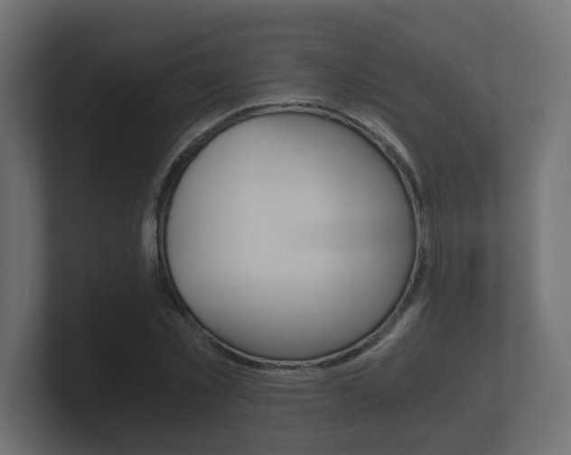 X0000101950781200807180702