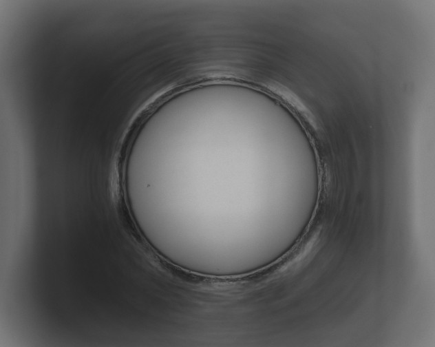 X0000101950782200807180702