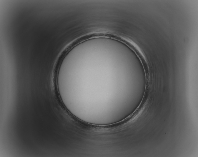 X0000101950783200807180702
