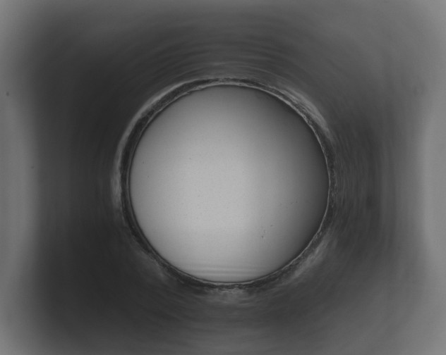 X0000101950784200807180702