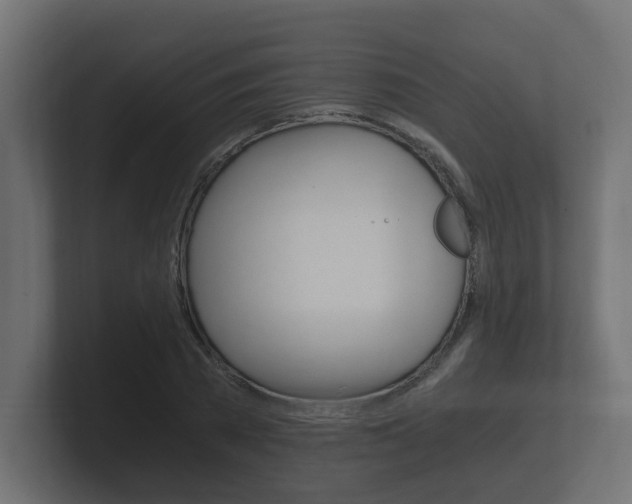 X0000101950785200807180701