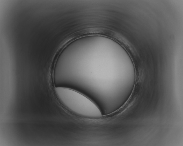 X0000101950786200807180701