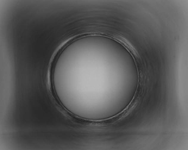 X0000101950788200807180701
