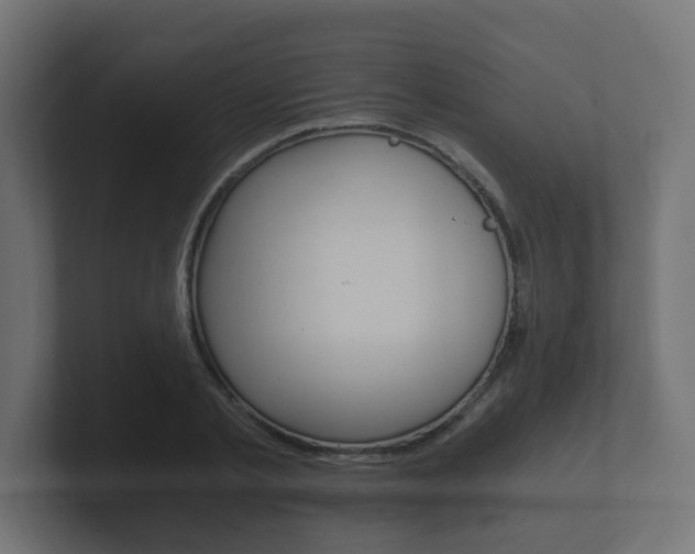 X0000101950789200807180701