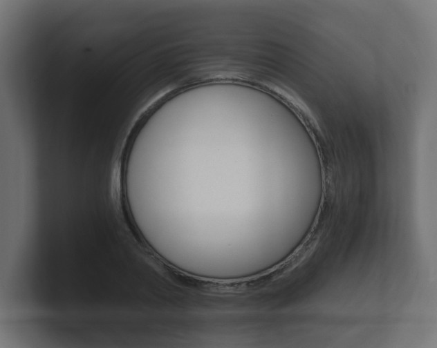X0000101950790200807180701