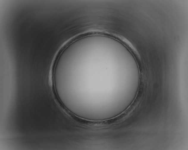 X0000101950791200807180701