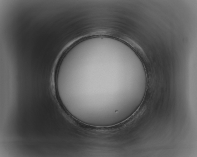 X0000101950792200807180701
