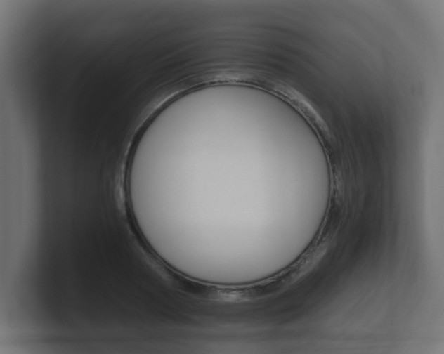 X0000101950794200807180701