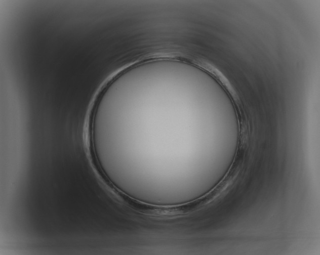 X0000101950795200807180701