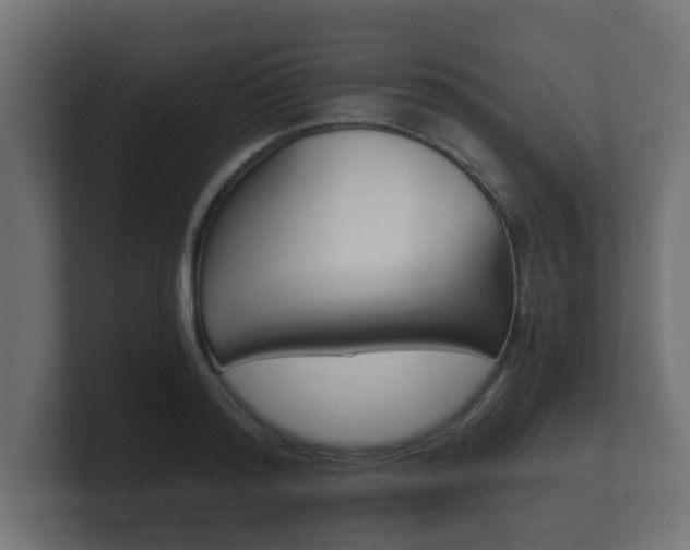 X0000101950796200807180701