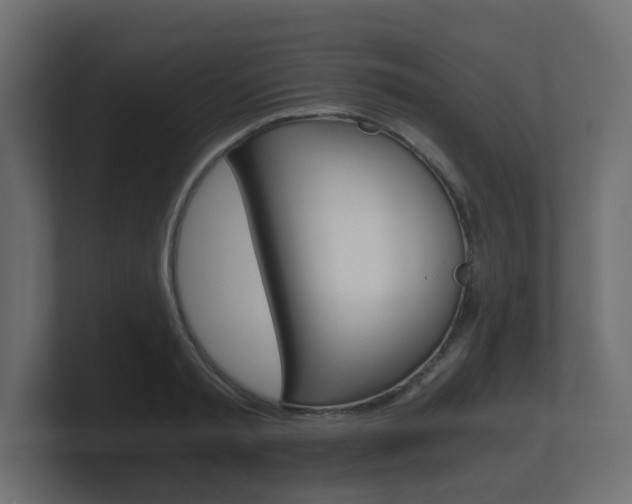 X0000101950797200807180701