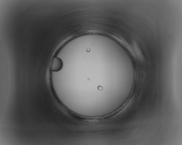 X0000101950798200807180701