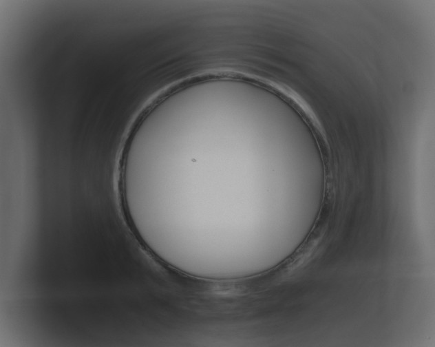 X0000101950799200807180701