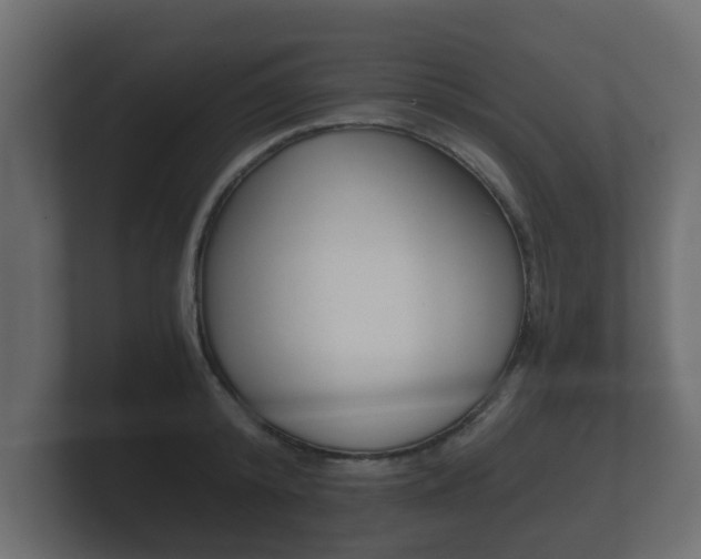 X0000101950800200807180701