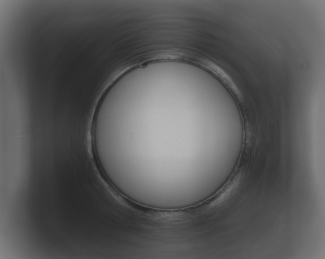 X0000101950802200807180701