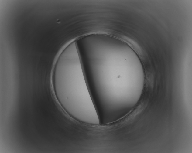 X0000101950804200807180701