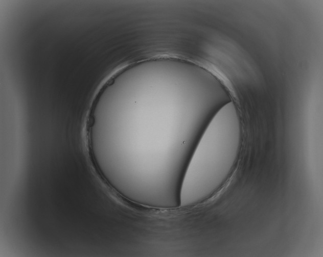 X0000101950806200807180701