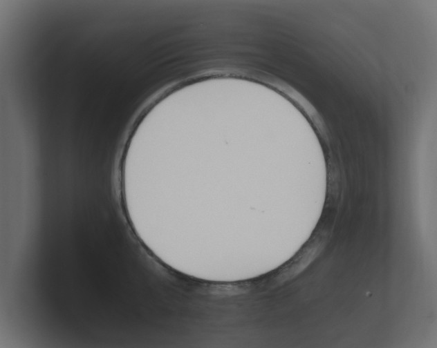 X0000101950807200807180701