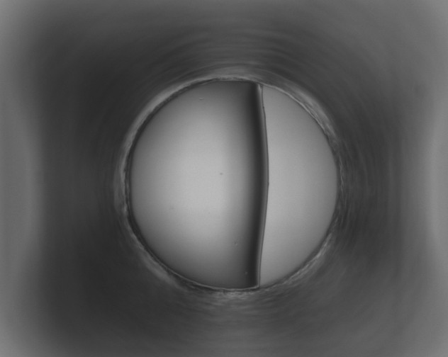 X0000101950808200807180701