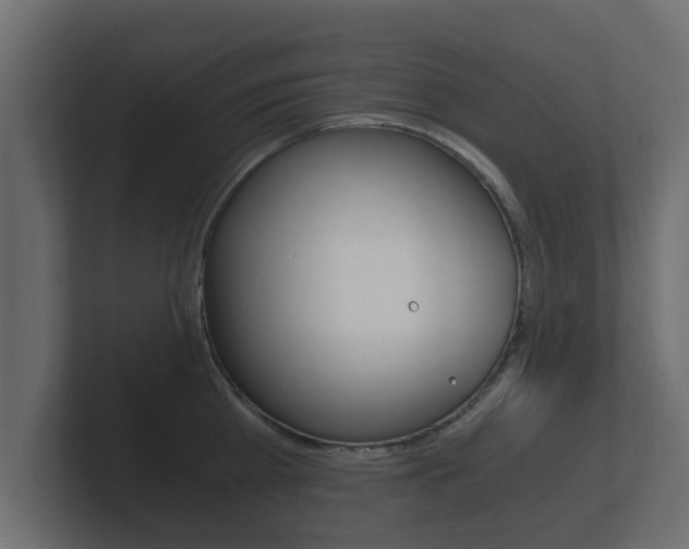 X0000101950809200807180701
