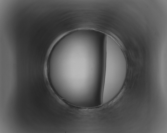 X0000101950812200807180701