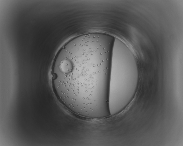 X0000101950814200807180701
