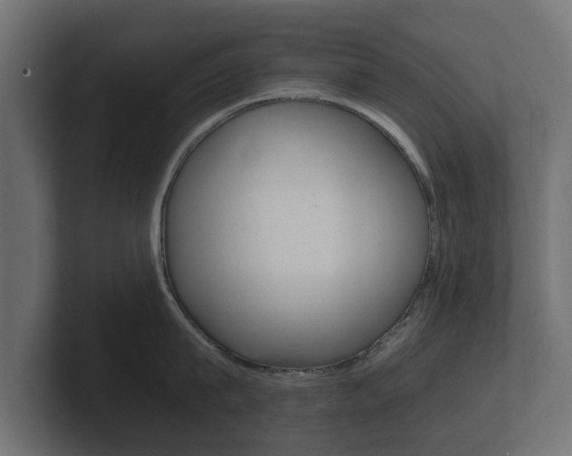 X0000101950815200807180701