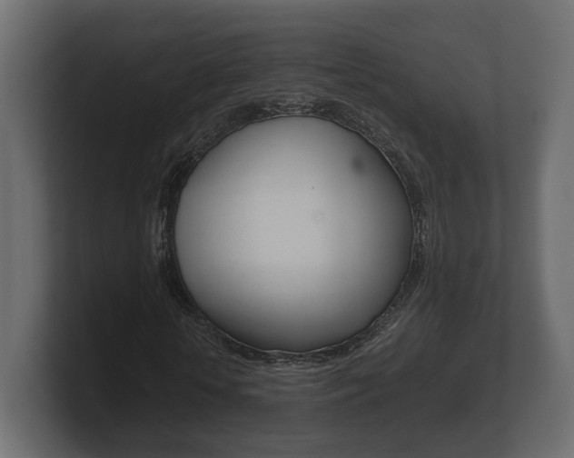 X0000101950818200807180700