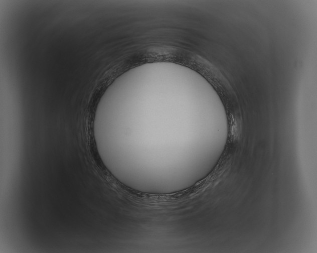 X0000101950819200807180700