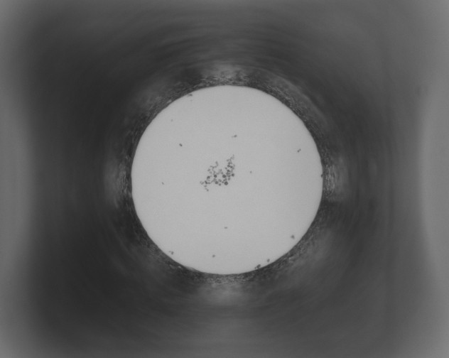 X0000101950820200807180700