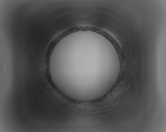 X0000101950823200807180700