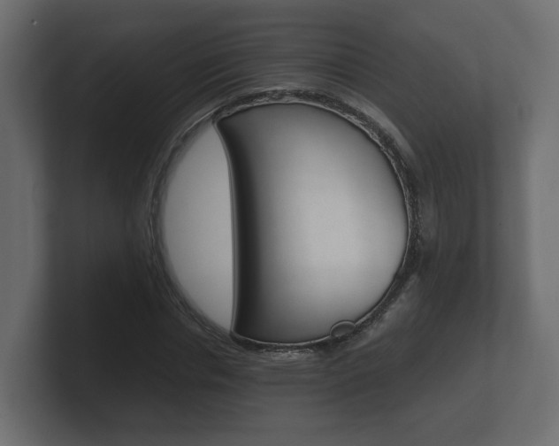 X0000101950826200807180700