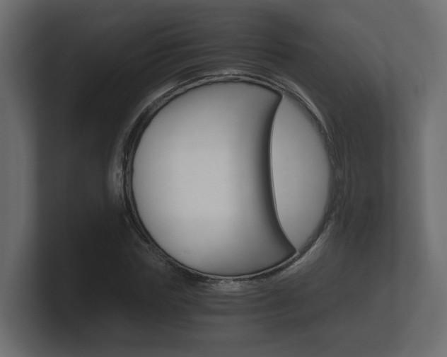 X0000101950827200807180700
