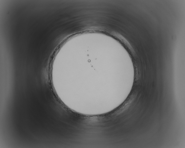 X0000101950828200807180700