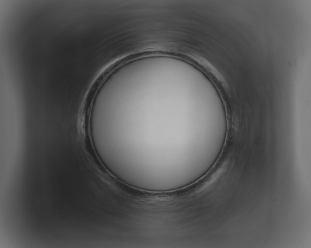 X0000101950830200807180700