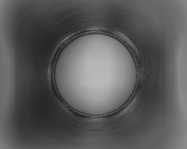 X0000101950831200807180700