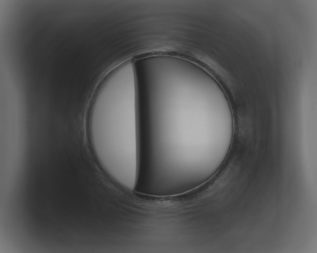 X0000101950834200807180701