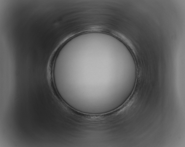 X0000101950835200807180701