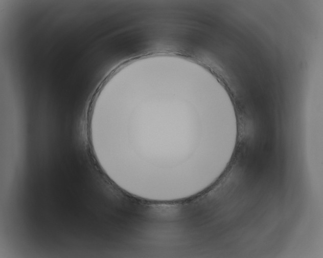 X0000101950836200807180701