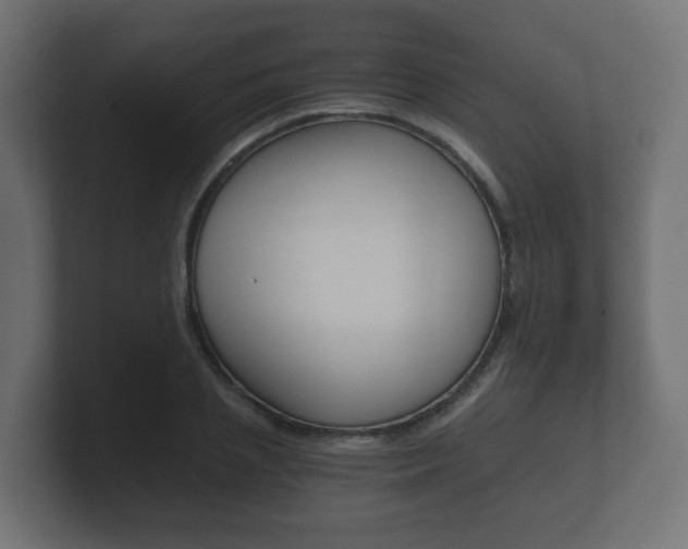 X0000101950837200807180701