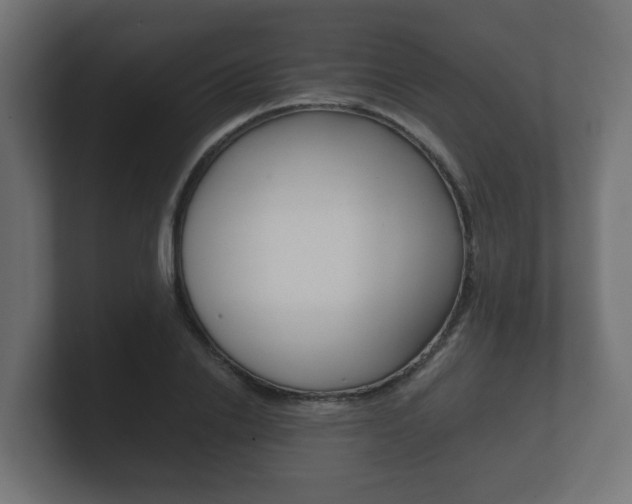 X0000101950838200807180701