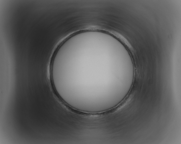 X0000101950839200807180701