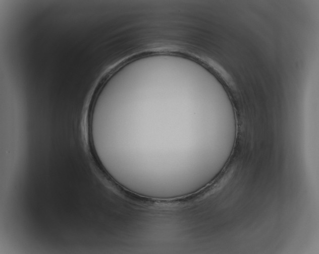 X0000101950840200807180701