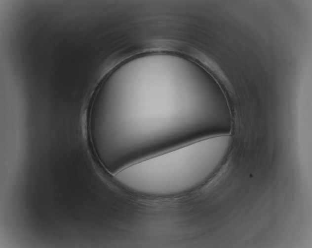 X0000101950842200807180701
