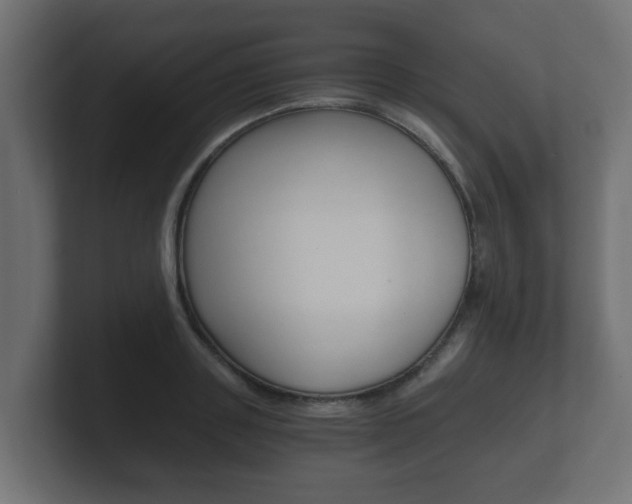 X0000101950843200807180701