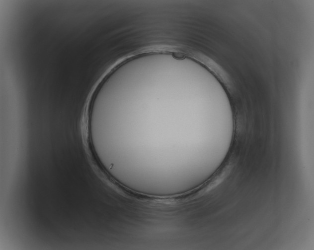 X0000101950844200807180701