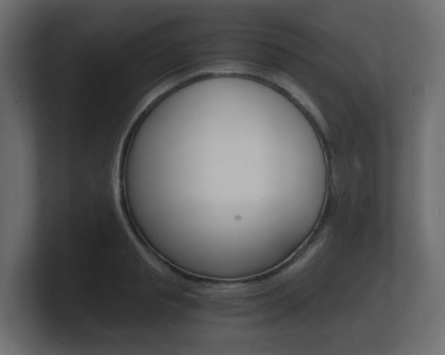 X0000101950845200807180701