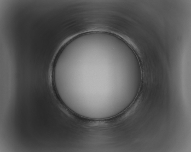 X0000101950846200807180701