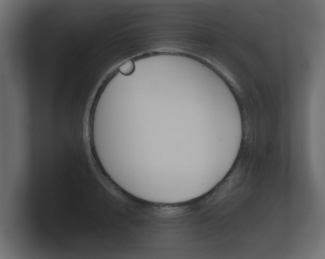 X0000101950848200807180701